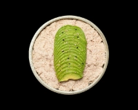 T4 Tartare Thon Cuit