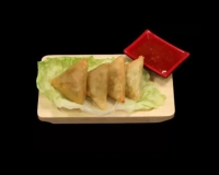 A14 Samossa Boeuf β4